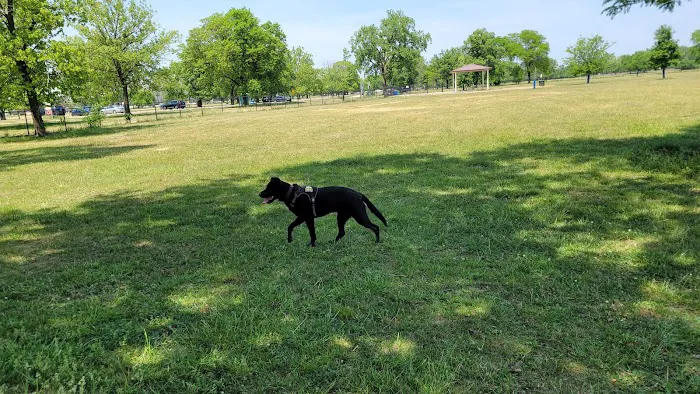 Miller Meadow Off-Leash Dog Area 3