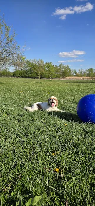 Miller Meadow Off-Leash Dog Area 8