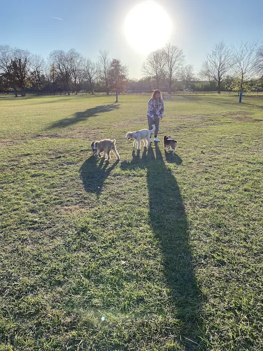 Miller Meadow Off-Leash Dog Area 9