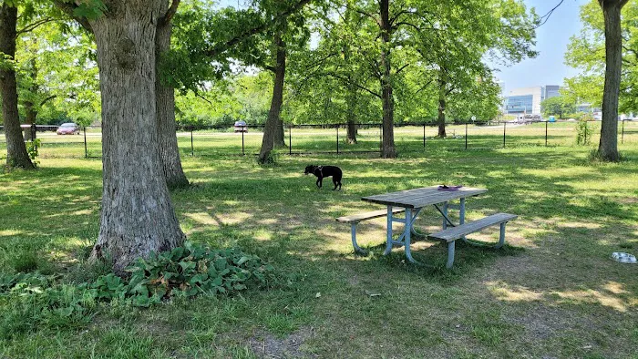 Miller Meadow Off-Leash Dog Area 7