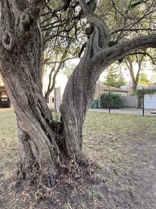 Karban Dog Park 3