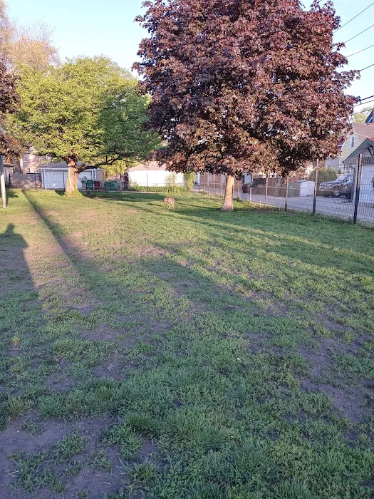 Karban Dog Park 4