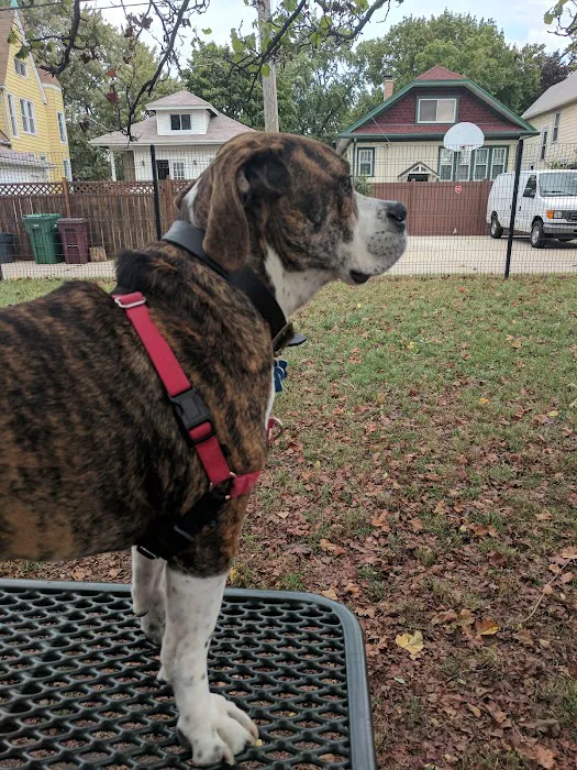 Karban Dog Park 1