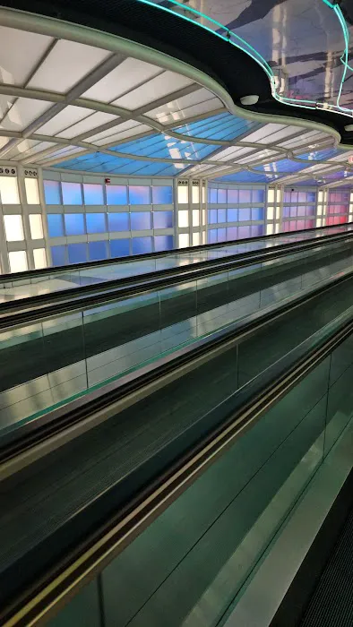 Terminal 1 Dog Relief Area 9