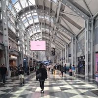Terminal 1 Dog Relief Area ico