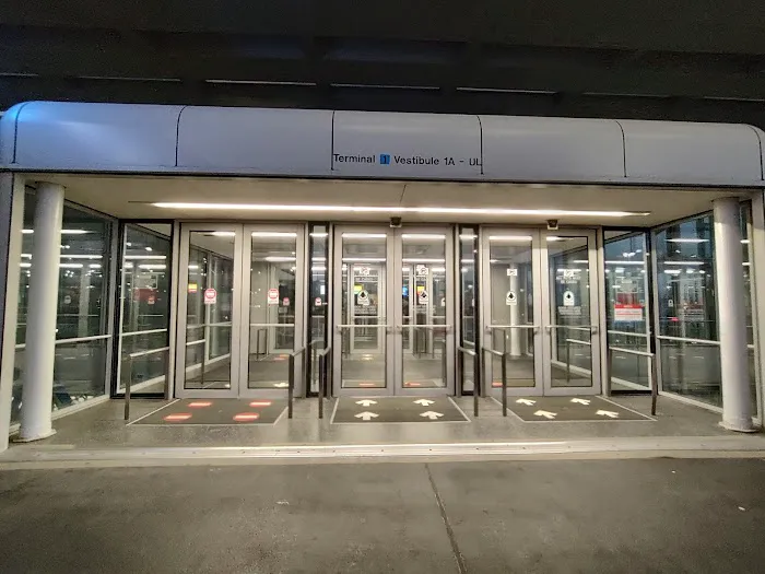 Terminal 1 Dog Relief Area 7