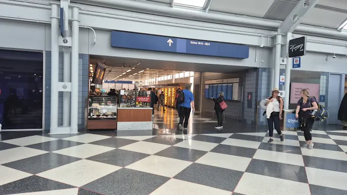 Terminal 1 Dog Relief Area 2