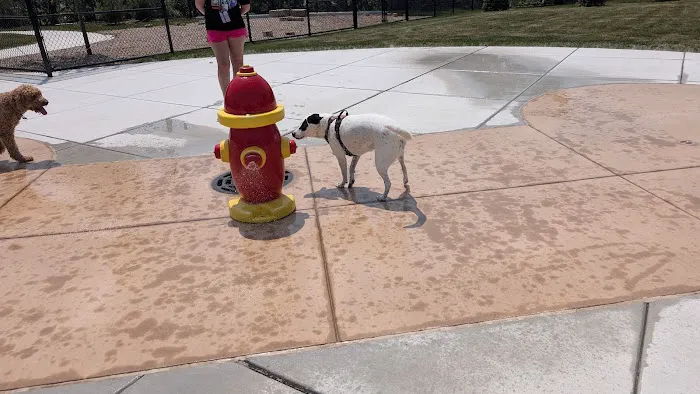 Canine Corner 5