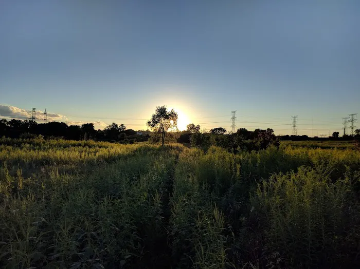 Dupage County Off Leash Dog Park 4