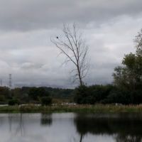 Dupage County Off Leash Dog Park ico