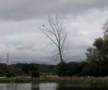 Dupage County Off Leash Dog Park
