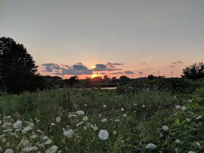 Dupage County Off Leash Dog Park 2
