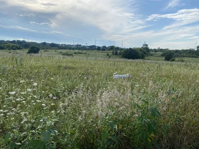 East Branch Off-leash Dog Park 3