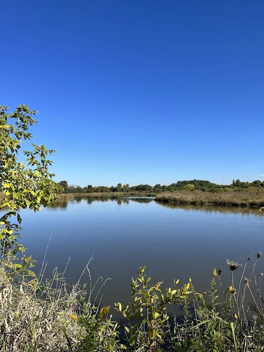 East Branch Off-leash Dog Park 4