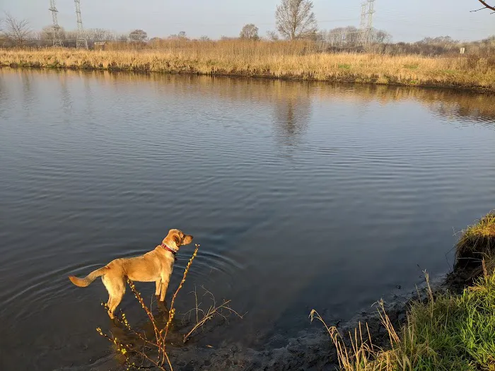 East Branch Off-leash Dog Park 8