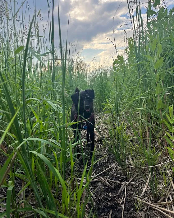 East Branch Off-leash Dog Park 6