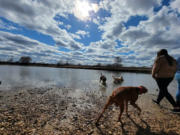 East Branch Off-leash Dog Park 7