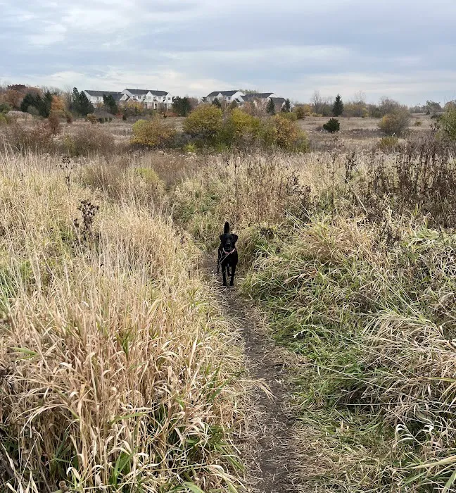 East Branch Off-leash Dog Park 10