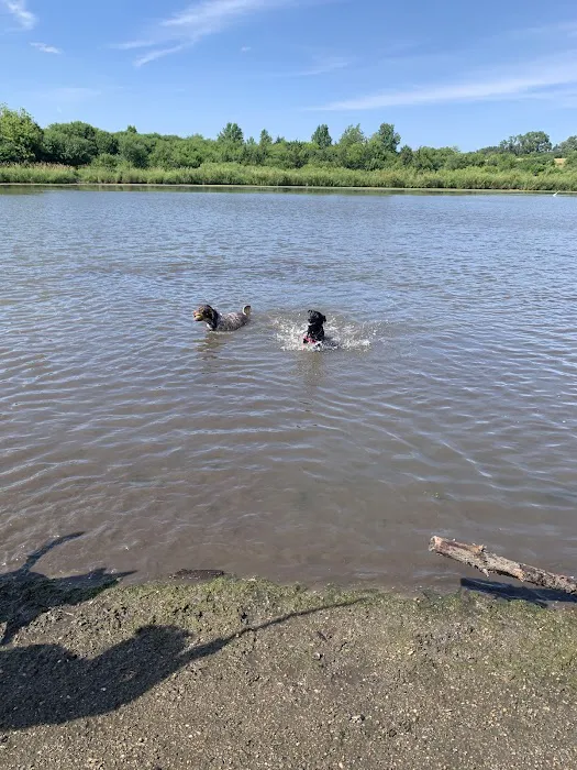 East Branch Off-leash Dog Park 9