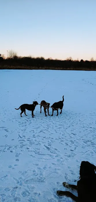 East Branch Off-leash Dog Park 1