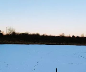 East Branch Off-leash Dog Park