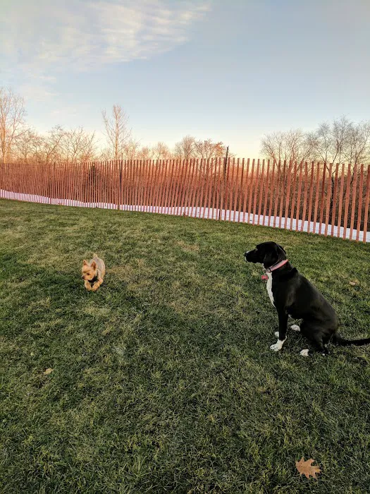 Highland Park Golf Dog Park 2