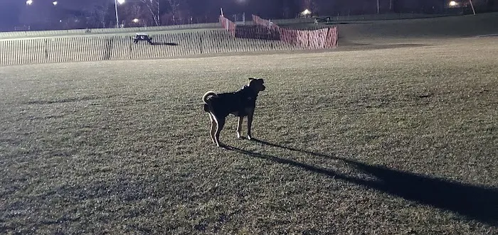 Highland Park Golf Dog Park 1