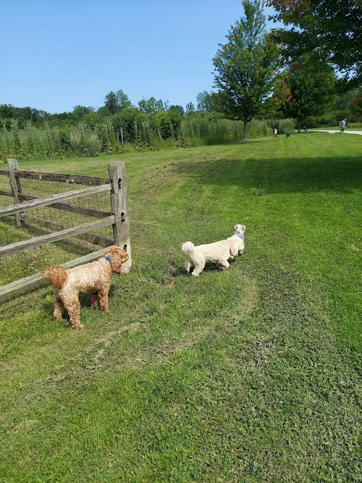 Prairie Wolf Off-Leash Dog Area 8