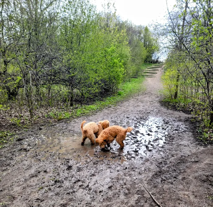 Prairie Wolf Off-Leash Dog Area 3