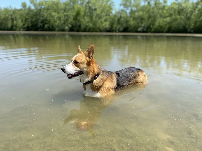 Prairie Wolf Off-Leash Dog Area 1