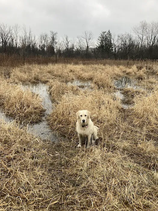Prairie Wolf Off-Leash Dog Area 9