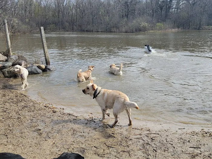 Prairie Wolf Off-Leash Dog Area 10