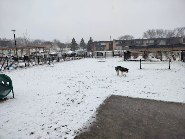 Albion on Northwest dog park 1