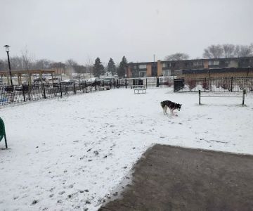 Albion on Northwest dog park