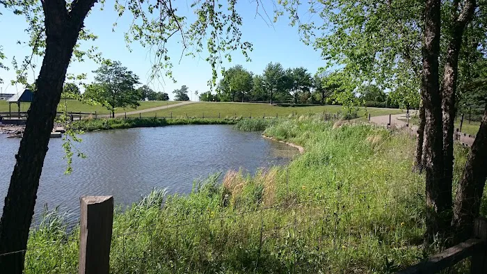 K-9 Dog Park 3