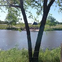 K-9 Dog Park ico