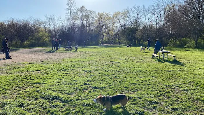 Independence Grove Off-Leash Dog Area 2