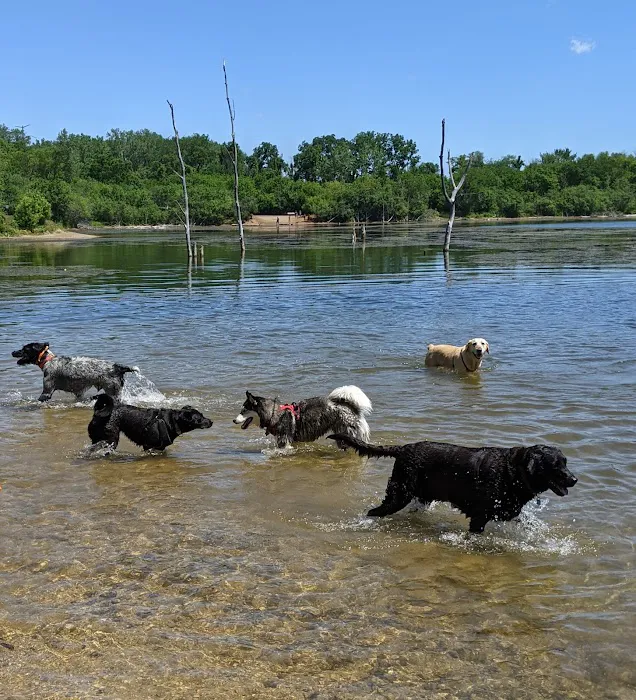 Independence Grove Off-Leash Dog Area 8