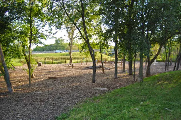 Bo's Run Dog Park 1