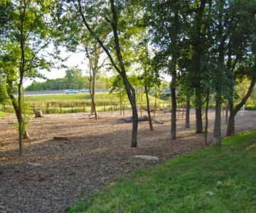 Bo's Run Dog Park
