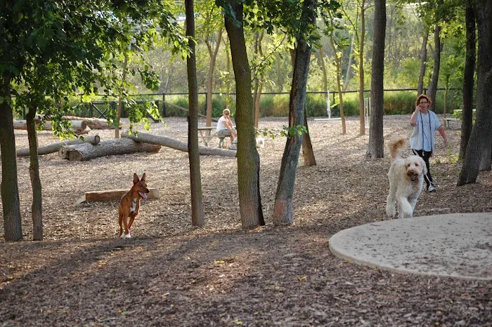 Bo's Run Dog Park 8