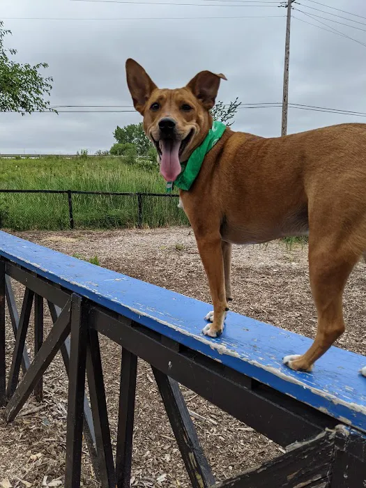 Bo's Run Dog Park 3
