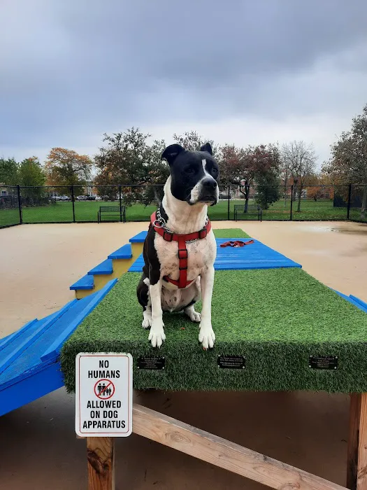Wentworth Park Dog Friendly Area 5