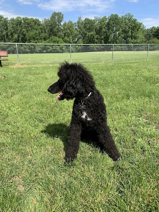 Happy Tails Dog Park - Summit 10
