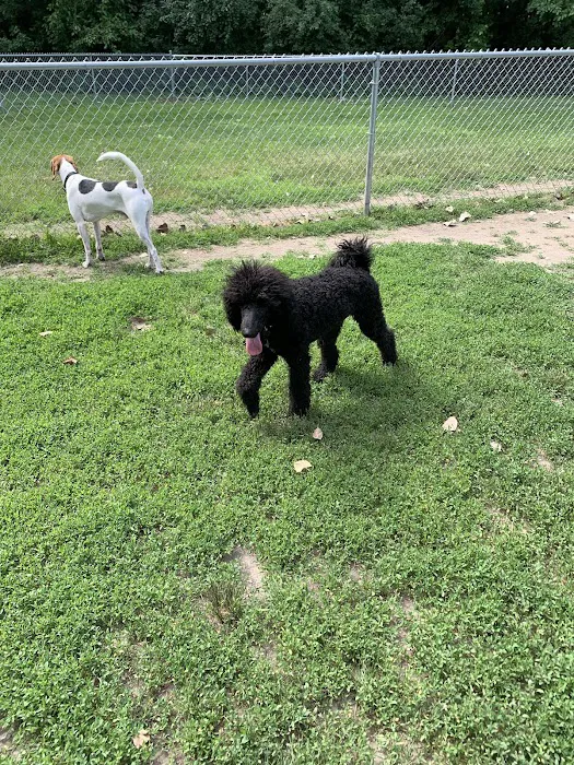 Happy Tails Dog Park - Summit 5