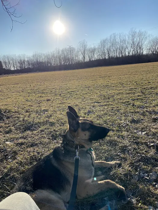 Happy Tails Dog Park - Summit 7