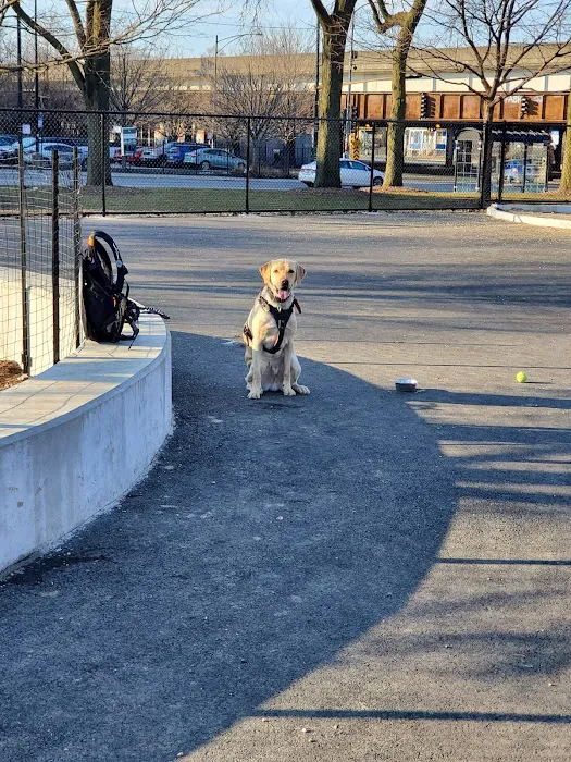 McKinley Dog Park 8