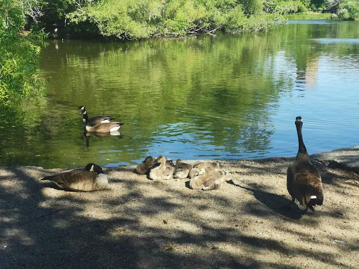 McKinley Dog Park 5