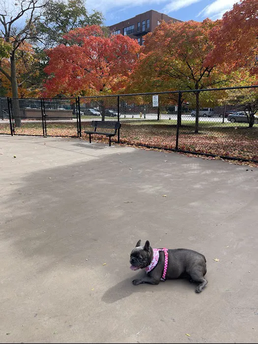 McKinley Dog Park 9