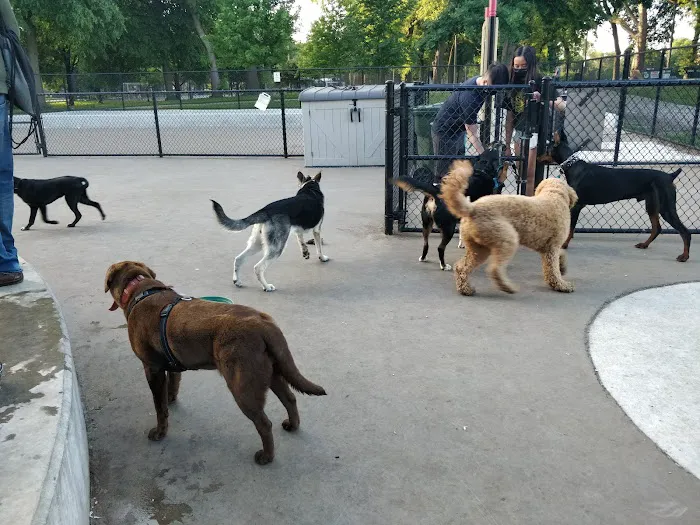 McKinley Dog Park 4